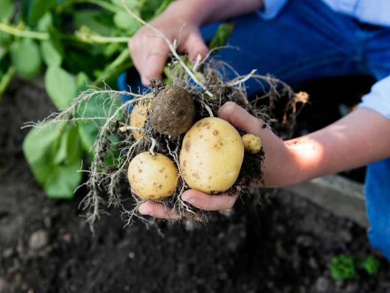 EXPOSITORES EN EXPO AGROANIMALIA EXPOSITORES EN EXPO AGROANIMALIA